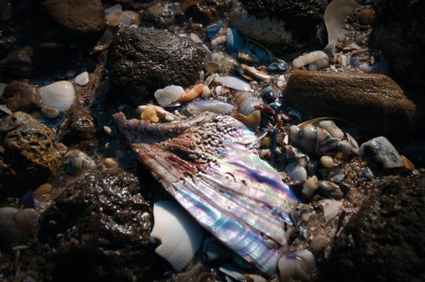 Point Cook Marine Sanctuary - Kalgoorlie Accommodation 1