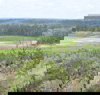 Princess Hills Girringun National Park - Kalgoorlie Accommodation
