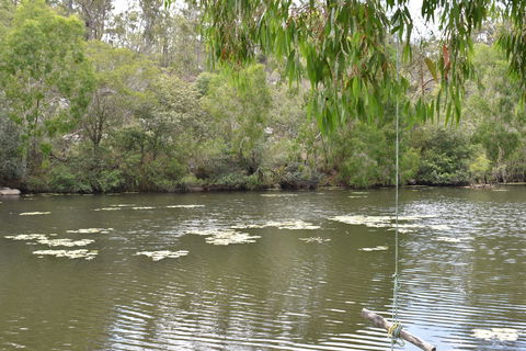 Princess Hills, Girringun National Park - Kalgoorlie Accommodation 1