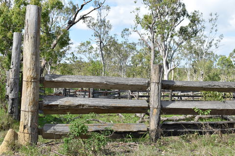 Princess Hills, Girringun National Park - Kalgoorlie Accommodation 2