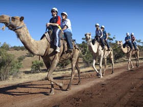 Quorn - Kalgoorlie Accommodation 0