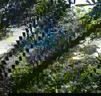 Rainforest Walking Track Hat Head National Park - Kalgoorlie Accommodation