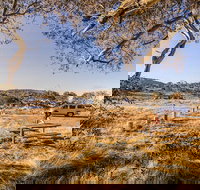 Rennix walking track - Kalgoorlie Accommodation