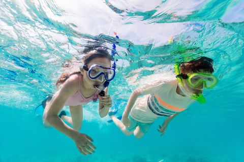 Snorkel Hat Head Creek - Kalgoorlie Accommodation 0