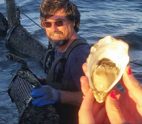 Southern Yorke Oysters - Kalgoorlie Accommodation 0