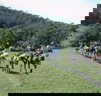 Timbertops - Horse Riding - Kalgoorlie Accommodation