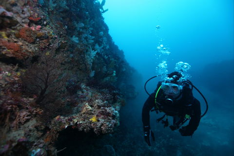 Twelve Apostles Marine National Park - Kalgoorlie Accommodation 0