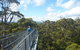 Walpole-Nornalup National Park - thumb 0