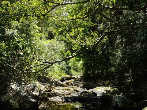 Witta - Kalgoorlie Accommodation 0