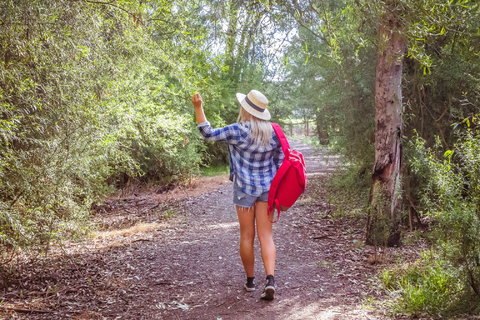 Yea Wetlands Walk - Kalgoorlie Accommodation 2