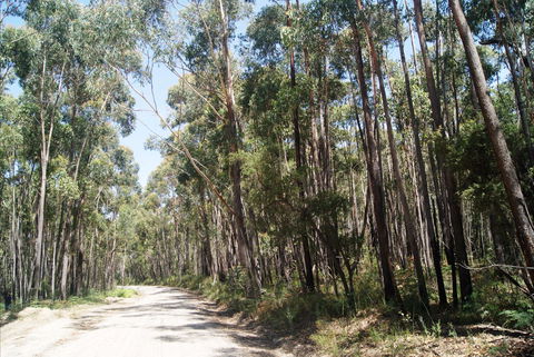 Alfred National Park - Kalgoorlie Accommodation 2