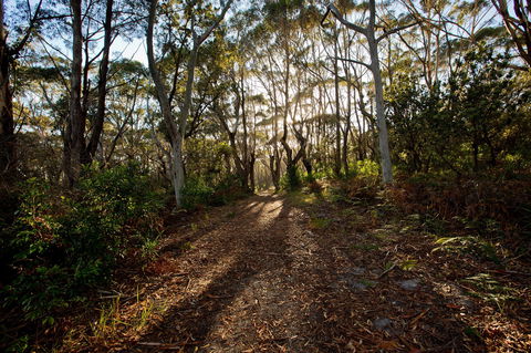 Booderee National Park: Munyunga Waraga Dhugan Walking Trail - Kalgoorlie Accommodation 0