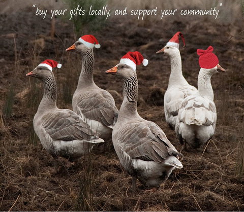 Bream Creek Farmers Market - Kalgoorlie Accommodation 1