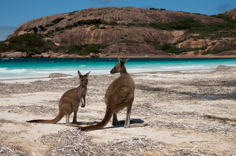 Cape Le Grand National Park - Kalgoorlie Accommodation 0