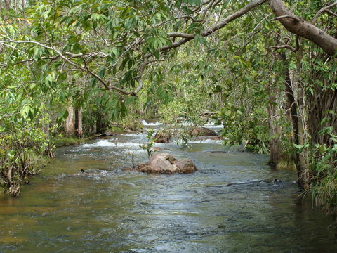 Florence Creek Walk - Kalgoorlie Accommodation 0