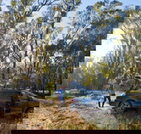Forest Drive Murrumbidgee Valley National Park - Kalgoorlie Accommodation
