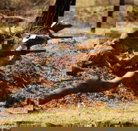 Freycinet Paintball and Campground - Kalgoorlie Accommodation