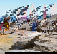 Gondwana Coast Fossil Walk - Kalgoorlie Accommodation