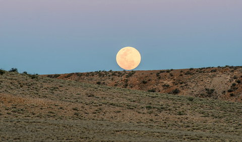 Jump-Up Loop Road Drive - Kalgoorlie Accommodation 0