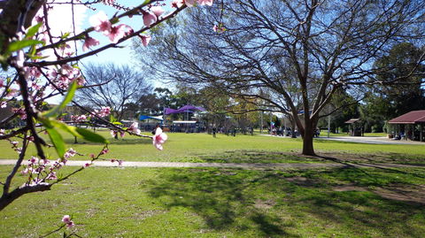 Koshigaya Park - Kalgoorlie Accommodation 0