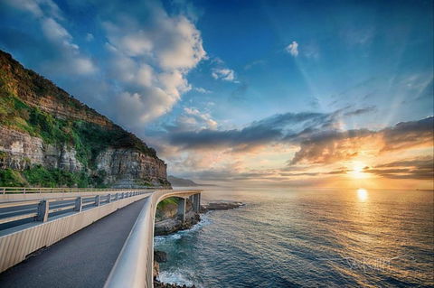 Kramer Photography Rainforest Gallery - Kalgoorlie Accommodation 0