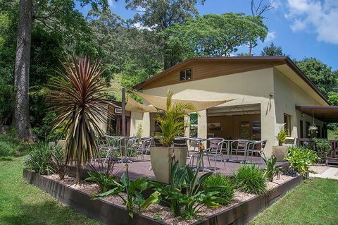 Kramer Photography Rainforest Gallery - Kalgoorlie Accommodation 2