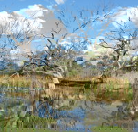 Lagoon Creek - Kalgoorlie Accommodation