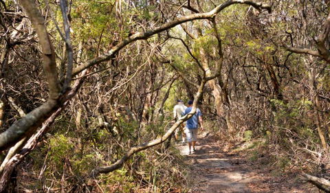 Lyrebird Dell Walking Track - Kalgoorlie Accommodation 0