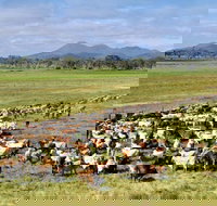 Marlborough - Kalgoorlie Accommodation