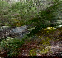 Mongarlowe River picnic area - Kalgoorlie Accommodation