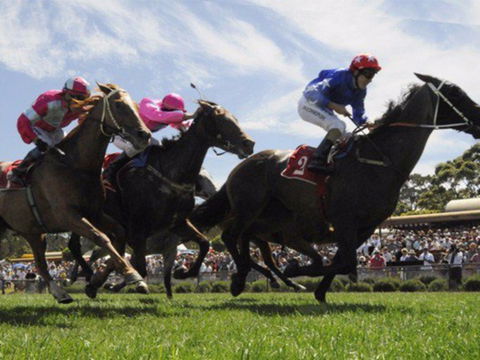 Moruya Racecourse - Kalgoorlie Accommodation 0