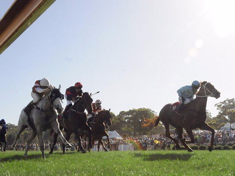 Moruya Racecourse - Kalgoorlie Accommodation 1