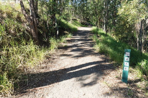 Mt Coot-tha Tourist Drive - Kalgoorlie Accommodation 2