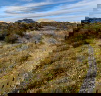 Murramarang Aboriginal Area Walking Track - Kalgoorlie Accommodation