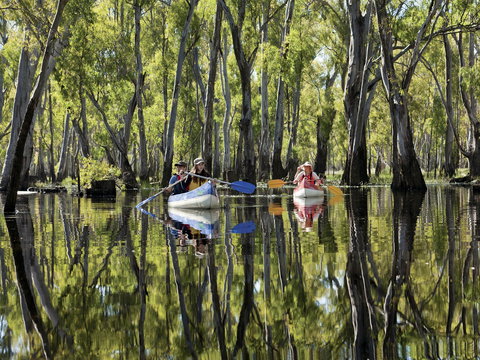 Murray River Canoe Trails - Kalgoorlie Accommodation 0