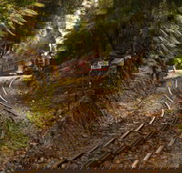 The West Coast Wilderness Way