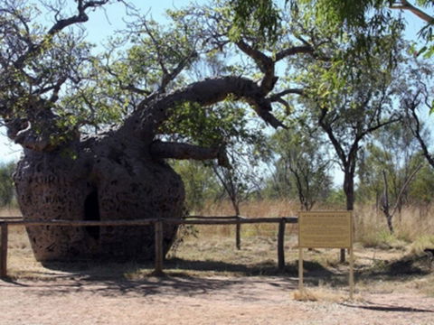 Time Walk, Windjana Gorge National Park - Kalgoorlie Accommodation 2