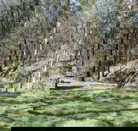 Wallaby Walking Track - Kalgoorlie Accommodation