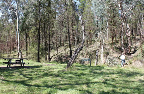 Wallaby Walking Track - Kalgoorlie Accommodation 0