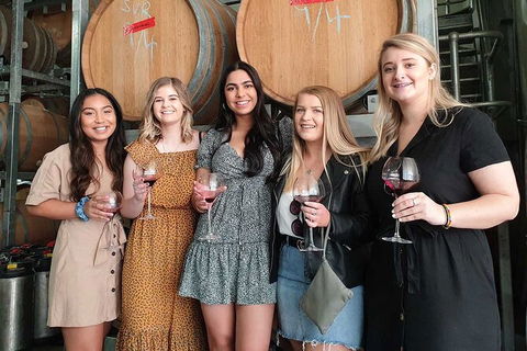 Hunter Valley Wine Tour From The Hunter With Wine Craft Beer Cheese Chocolate - Kalgoorlie Accommodation 1