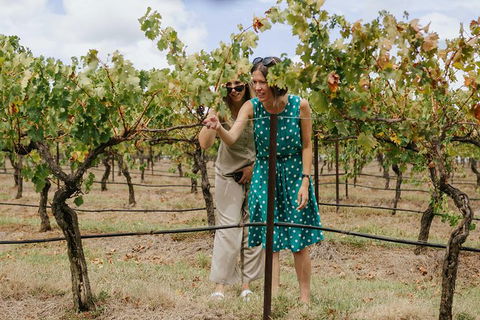 Lovedale & North Pokolbin, Hunter Valley Hop-On And Hop-off Bus Tour - Kalgoorlie Accommodation 4
