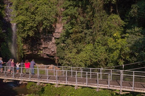 Rainforest & Waterfall Experience - Kalgoorlie Accommodation 4