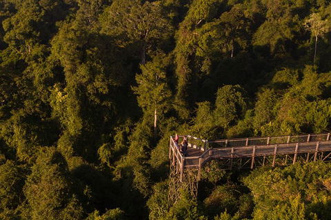 Rainforest & Waterfall Experience - Kalgoorlie Accommodation 5