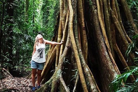 Rainforest & Waterfall Experience - Kalgoorlie Accommodation 3