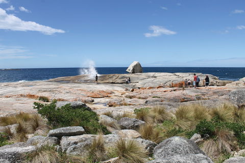Bicheno Blowhole - Kalgoorlie Accommodation 1