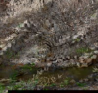 Brisbane Ranges National Park - Kalgoorlie Accommodation