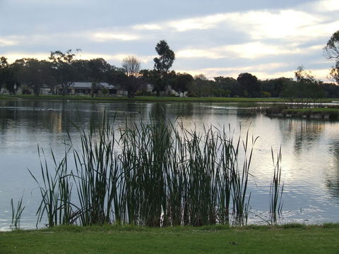 Luke Park And Jerilderie Lake - Kalgoorlie Accommodation 2