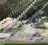 Maroochy Regional Bushland Botanic Garden - Kalgoorlie Accommodation