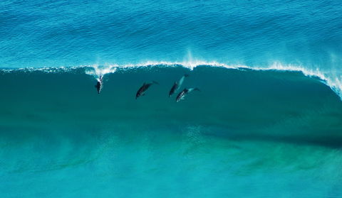 Sand Patch - Kalgoorlie Accommodation 1