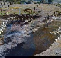 Wangaraleednie Monument  Ruins - Kalgoorlie Accommodation